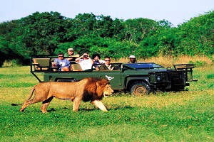 South Africa  Tour, Tour packages for South Africa , South Africa  Sightseeing, Shopping in South Africa , Book hotels and Resorts in South Africa , Book cheap flights for South Africa , Holidays in South Africa , South Africa  tour operators, Honeymoon in South Africa , Book Beach Resorts in South Africa , South Africa  city tour, Tourist Places to see in South Africa , South Africa  tourism, Tour to South Africa , sightseeing in South Africa 