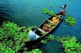 Kerala Tour Packages, Tour operator for Kerala, Keral Hotel bookings, Kerala Cabs, Cochin Car Rentals, Kerala Holidays, Book Hotels and Beach Resorts in Kerala