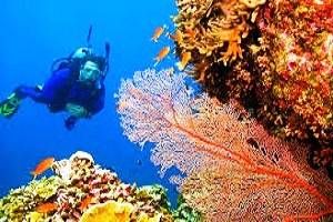 Romantic Andaman Islands Tour, Book hotels in Port Blair, Tour packages for Andaman