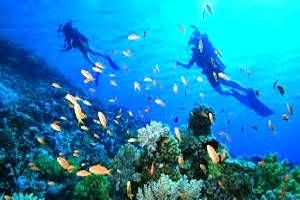 Andaman Holidays, Tour to Andaman Nicobar Islands, Tour Packages for Andaman, Tour Operators for Andaman Islands,