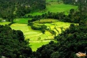 Book Hotels in Coorg, Tour Packages for Coorg, Coorg sightseeing, Coorg Hotel rates, Places to See in Coorg, Rent a Car for Coorg Tour.