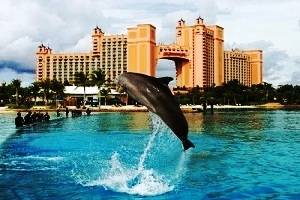 Dubai Tour, Tour packages for Dubai, Dubai Sightseeing, Shopping in Dubai, Book hotels and Resorts in Dubai, Book cheap flights for Dubai, Holidays in Dubai, Dubai tour operators, Honeymoon in Dubai, Dubai nightlife, Dubai city tour, Places to see in Dubai, Dubai tourism, Abu Dhabi city tour,