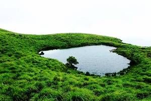 Wayanad Sightseeing, Book Hotels in Wayanad, Tour Packages for Wayanad, Rent a Car in Wayanad, Places to see in Wayanad, Best Time to Visit Wayanad