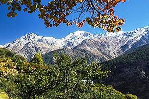 Himachal Tour packages
