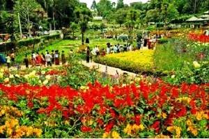 Book Hotels in Kodaikanal, Tour Packages for Kodaikanal, Kodaikanal sightseeing, Kodaikanal Hotel rates, Places to See in Kodaikanal, Rent a Car for Kodaikanal Tour