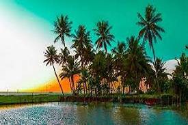 Kerala Honeymoon Packages, Honeymoon at Kerala, Honeymoon at Alleppey Houseboat, Kerala Tourist Places, Munnar Sightseeing, Rent a car in Cochin for Kerala Tour