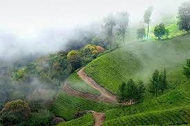 Kerala Tour Packages, Tour to Kerala, Munnar Sightseeing, Visit Thekkady , Book Hotels & Resorts in Munnar