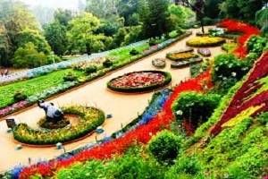Book Hotels in Ooty, Tour Packages for Ooty, Ooty sightseeing, Ooty Hotel rates, Places to See in Ooty, Rent a Car for Ooty Tour.