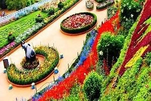 Bangalore Mysore Ootystudents Tour, students Tour Packages for Bangalore Mysore Ooty, Book Hotels in Bangalore, Book Resorts in  Ooty, Bangalore Mysore Ooty sightseeing, Students group Tour to Bangalore Mysore Ooty, Bangalore Mysore Ooty Honeymoon packages, Bangalore Mysore Ooty holidays, Visit tourist places in Bangalore Mysore Ooty, Bangalore Mysore Ooty Shopping, Students tour activities in Bangalore Mysore Ooty, Industrial visit in Bangalore Mysore Ooty, Bangalore Mysore Ooty students tour operators in Mumbai, Bangalore Mysore Ooty Students tour operators in Cochin. Rent a Car for Bangalore Mysore Ootytour packages. Find Best deals for Bangalore Mysore Ooty tour packages with Mumbaitravelguru.com  