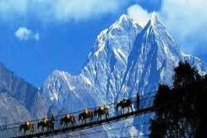 Sikkim Darjeeling tour packages, Honeymoon in Sikkim,tour packages for Sikkim, Holidays in Sikkim Darjeeling, Book hotels in Darjeeling, Book resorts in Gangtok, Tour packages for Himlayan Mountains, Places to see in Pelling,