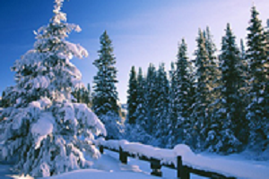 Book Hotels in Shimla, Tour Packages for Shimla, Shimla sightseeing, Shimla Hotel rates, Places to See in Shimla, Rent a Car for Shimla Manali Tour