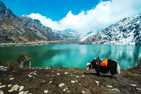 Sikkim Darjeeling Tour Packages