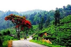 Book Hotels and Resorts in Thekkady, Tour Packages for Thekkady, Rent a car for Thekkady sightseeing,See places in Thekkady