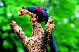 Visit Tourist Places in Kerala, Munnar Hotels, Thekkady sightseeing, Alleppey Houseboats, Book Hotels and Resorts in Kerala, Kerala Tour Packages